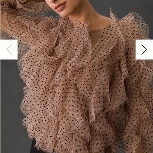 Dolan Left Coast Mesh Ruffle Blouse